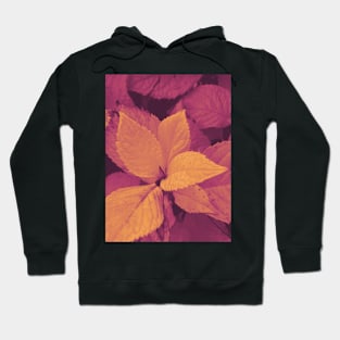 Photo of leaves in a hot orange gradient Hoodie